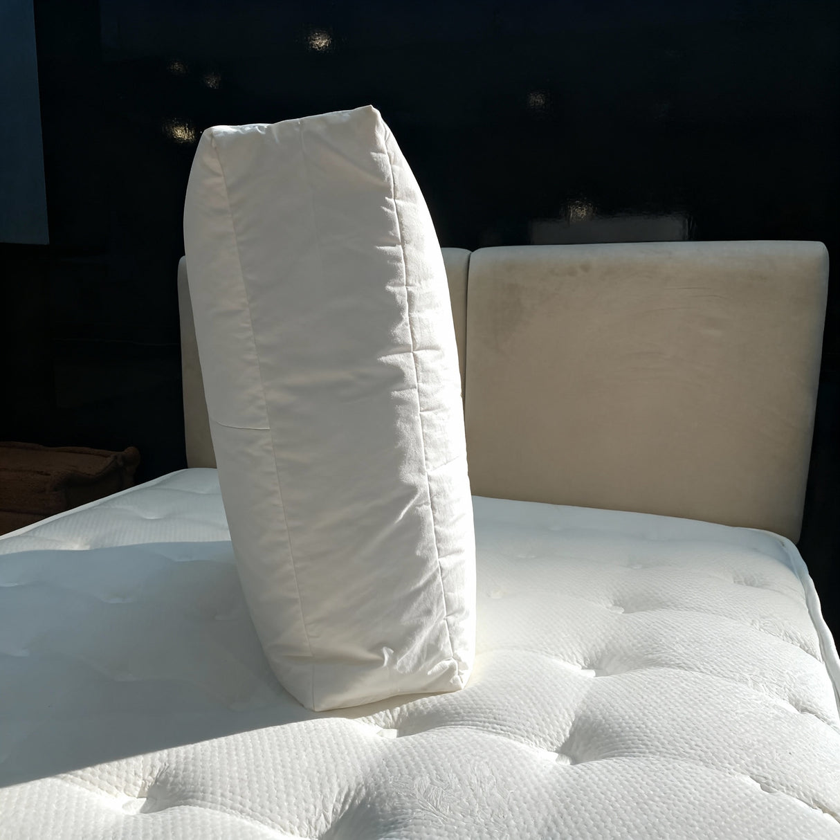 Trio Microfiber Pillow