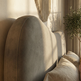 مرتبة بوكيت ستاندرد – سوست غير متصلة